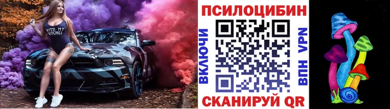 Псилоцибиновые грибы Psilocybine cubensis  цена   Шагонар 
